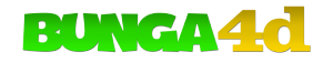 bung4d